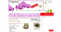 Desktop Screenshot of floranet.cl